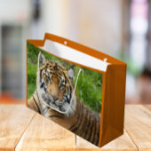 Big Cat Sumatran Tiger Foto Große Geschenktüte