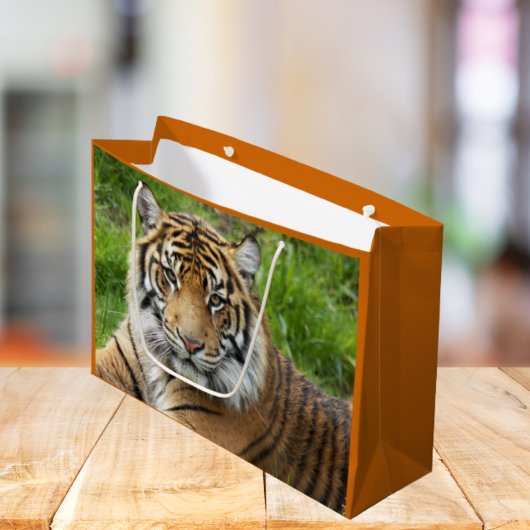 Big Cat Sumatran Tiger Foto Große Geschenktüte