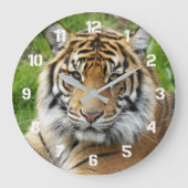 Big Cat Sumatran Tiger Foto Große Wanduhr (Vorderseite)