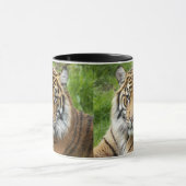 Big Cat Sumatran Tiger Foto Kaffeetasse (Zentrum)