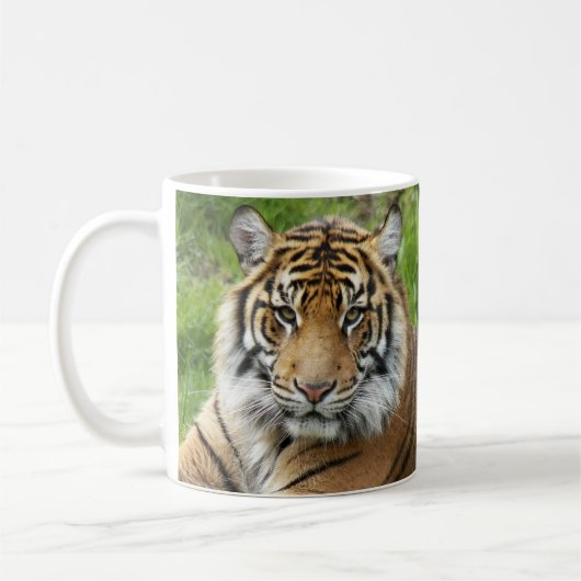 Big Cat Sumatran Tiger Foto Kaffeetasse (Links)