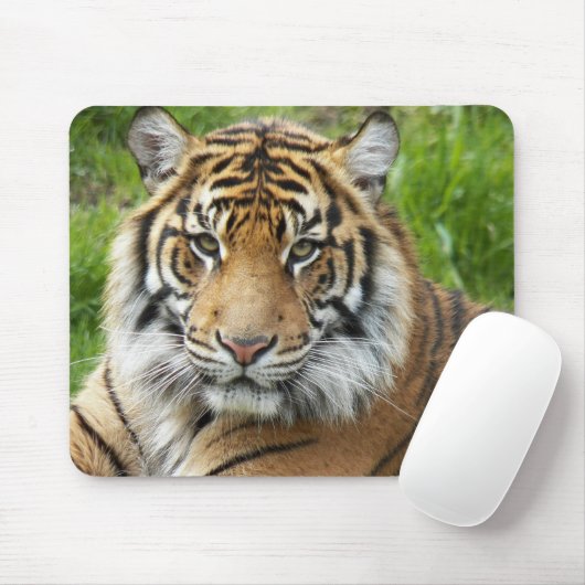 Big Cat Sumatran Tiger Foto Mousepad (Mit Mouse)