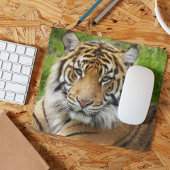 Big Cat Sumatran Tiger Foto Mousepad