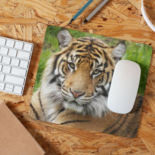 Big Cat Sumatran Tiger Foto Mousepad