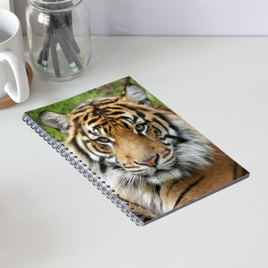 Big Cat Sumatran Tiger Foto Notizblock