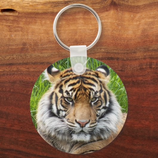 Big Cat Sumatran Tiger Foto Schlüsselanhänger (Rückseite)