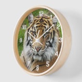 Big Cat Sumatran Tiger Foto Uhr (Winkel)