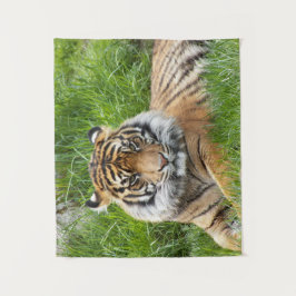 Big Cat Sumatran Tiger Foto Wandteppich