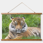 Big Cat Sumatran Tiger Foto Wandteppich Mit Holzrahmen (Vorne)