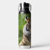 Big Cat Sumatran Tiger Photo Trinkflasche (Vorderseite)