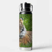 Big Cat Sumatran Tiger Photo Trinkflasche (Hinten)