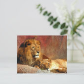 Big Cats - 6 Postkarte (Stehend Vorderseite)