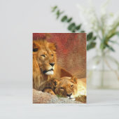 Big Cats - 6 Postkarte (Stehend Vorderseite)