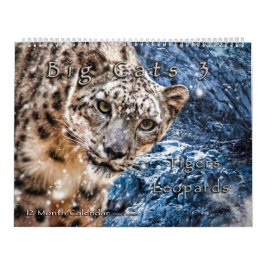 Big Cats Art Calendar Snow Leopard Jaguar Tigers Kalender