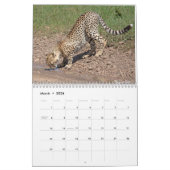 Big Cats Calendar 2023 Kalender (Mär 2026)