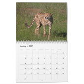 Big Cats Calendar 2023 Kalender (Jan 2027)