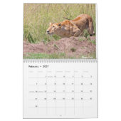 Big Cats Calendar 2023 Kalender (Feb 2027)