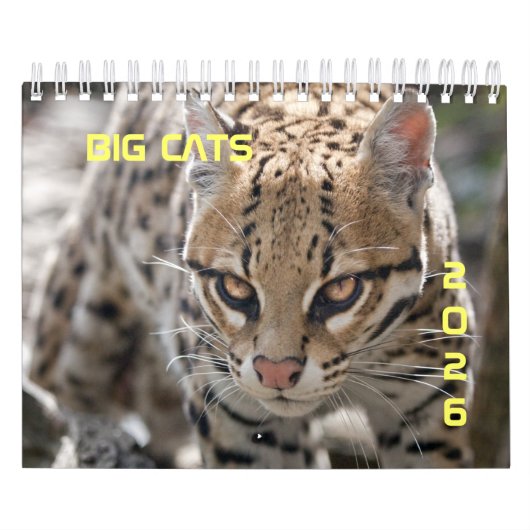 Big Cats Calendar Kalender (Titelbild)