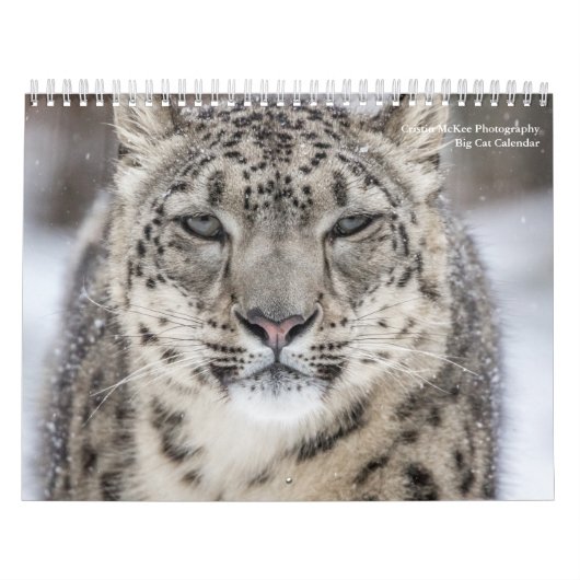 Big Cats Calendar Kalender (Titelbild)