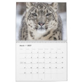 Big Cats Calendar Kalender (Mär 2027)