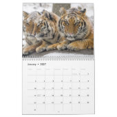 Big Cats Calendar Kalender (Jan 2027)