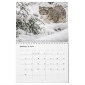 Big Cats Calendar Kalender (Feb 2027)