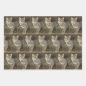 Big Cats Geschenkpapier Set (Vorderseite)