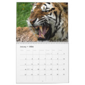 Big Cats Kalender (Jan 2026)