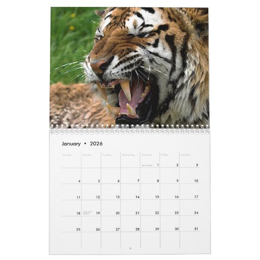 Big Cats Kalender (Jan 2026)