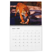 Big Cats Kalender (Mär 2027)