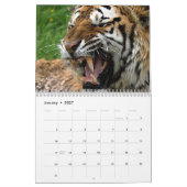 Big Cats Kalender (Jan 2027)