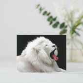 Big Cats Postcard Postkarte (Stehend Vorderseite)