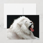 Big Cats Postcard Postkarte (Vorne/Hinten)