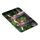 Big Cats Premium Flexi Magnet (Rechte Seite)