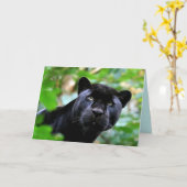 Big Cats Set - 4 Karte (Gelbe Blume)
