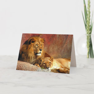 Big Cats Set - 6 Karte