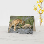 Big Cats Set - 9 Karte (Gelbe Blume)