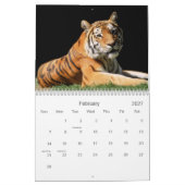 Big Cats Wildlife Calendar 2021 Kalender (Feb 2027)