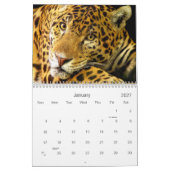 Big Cats Wildlife Calendar 2021 Kalender (Jan 2027)