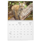 Big Cats Wildlife Calendar 2021 Kalender (Mär 2027)