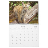 Big Cats Wildlife Calendar 2021 Kalender (Mär 2026)