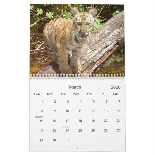Big Cats Wildlife Calendar 2021 Kalender (Mär 2026)