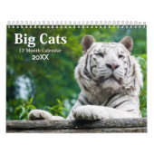 Big Cats Wildlife Calendar 2021 Kalender (Titelbild)