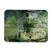 Big Creek.. Magnet (Horizontal)