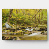 Big Creek | North Carolina Fotoplatte (Vorderseite)