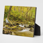 Big Creek | North Carolina Fotoplatte (Seite)