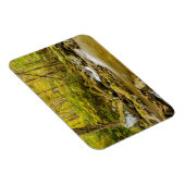 Big Creek | North Carolina Magnet (Rechte Seite)