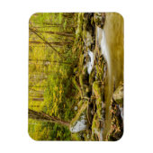 Big Creek | North Carolina Magnet (Vertikal)