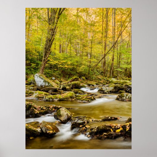 Big Creek | North Carolina Poster (Vorne)