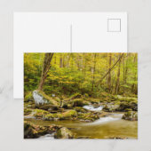 Big Creek | North Carolina Postkarte (Vorne/Hinten)